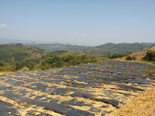 �����L�z������